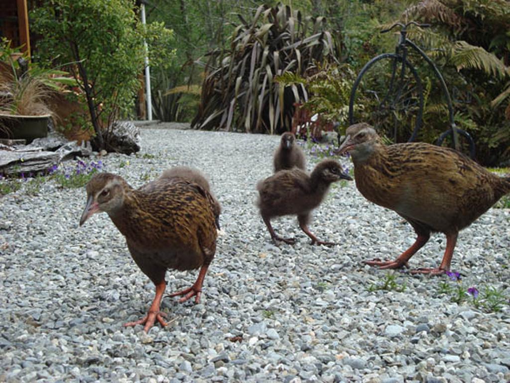 Lake Brunner Country Motel & Holiday Park Moana Bagian luar foto